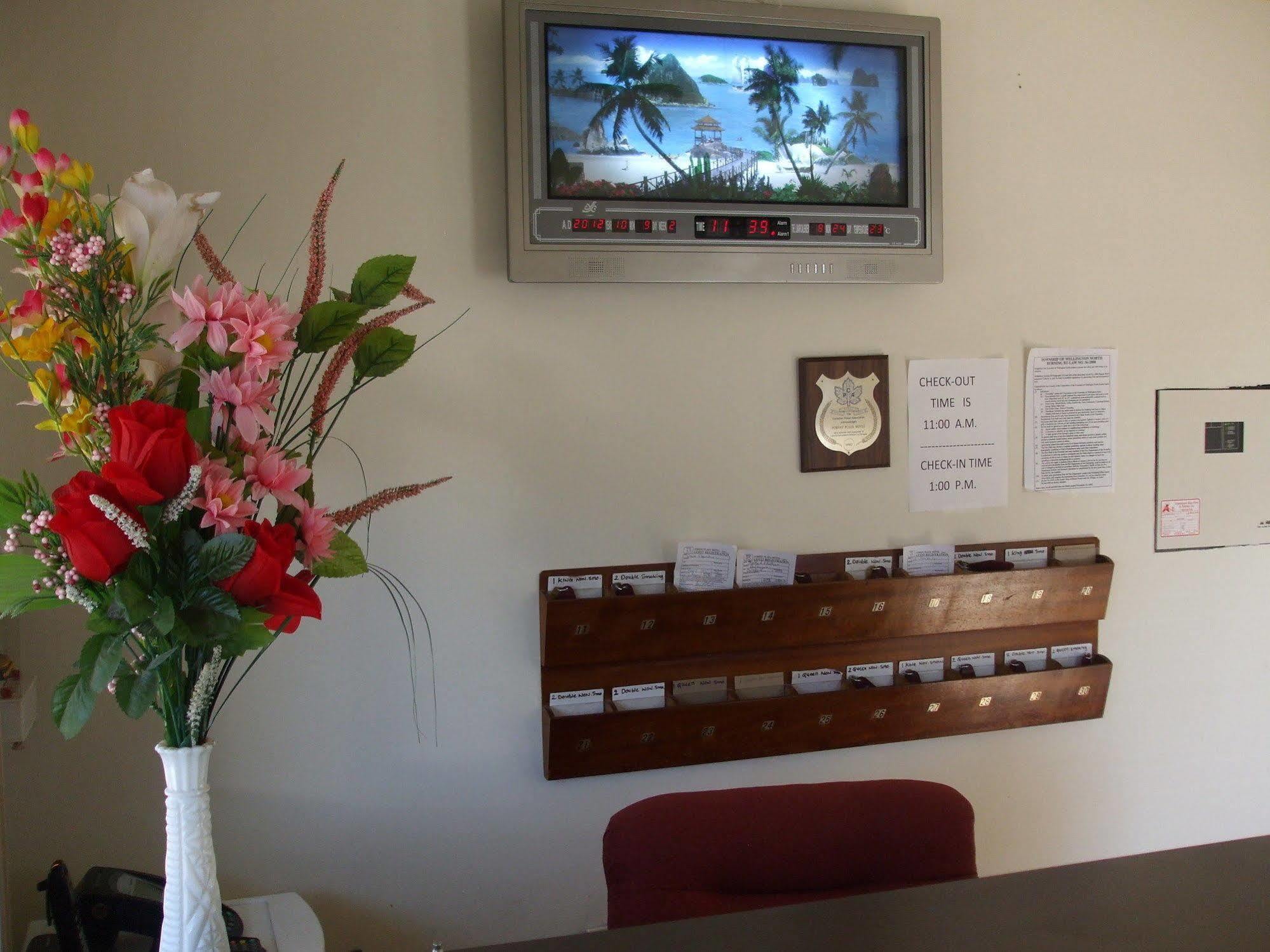 Forest Plaza Motel Mount Forest Buitenkant foto